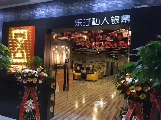 乐汀私人影院加盟